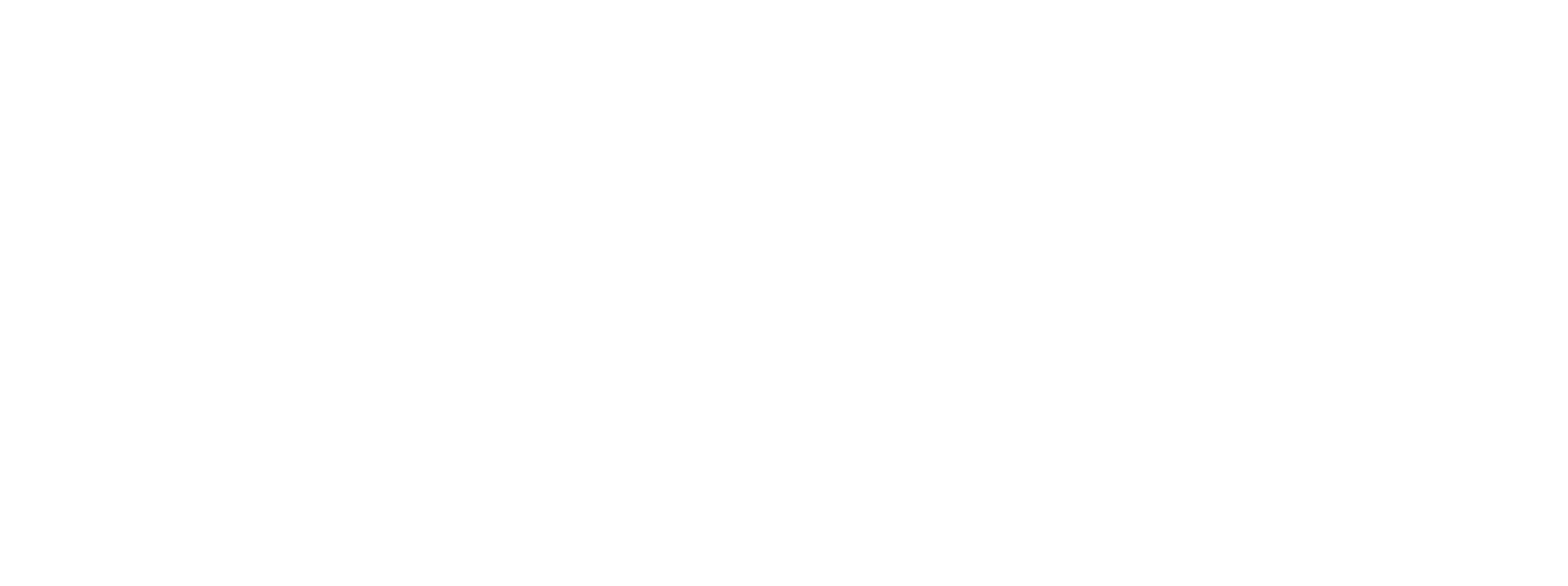 Veya Logo